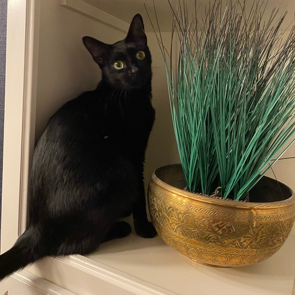 I would love to get to know you and say hi!🌻 - Picture 8 of 16